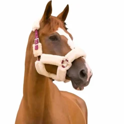 Clearance - Licol Teddy / écru Licols Avec Mouton