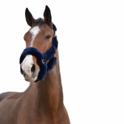 Licols Poneys*Equithème - Licol Teddy marine