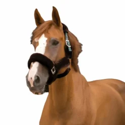 Licols Avec Mouton*Equithème - Licol Teddy / marron Vert