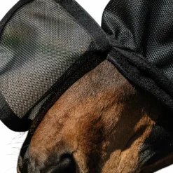 Masques Anti-Mouches Poneys|Masques Anti-Mouches*Equithème - Masque anti-mouches et UV Protech Noir