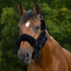 Licols Poneys|Accessoires De Licols*Equithème - Set Teddy pour licol noir