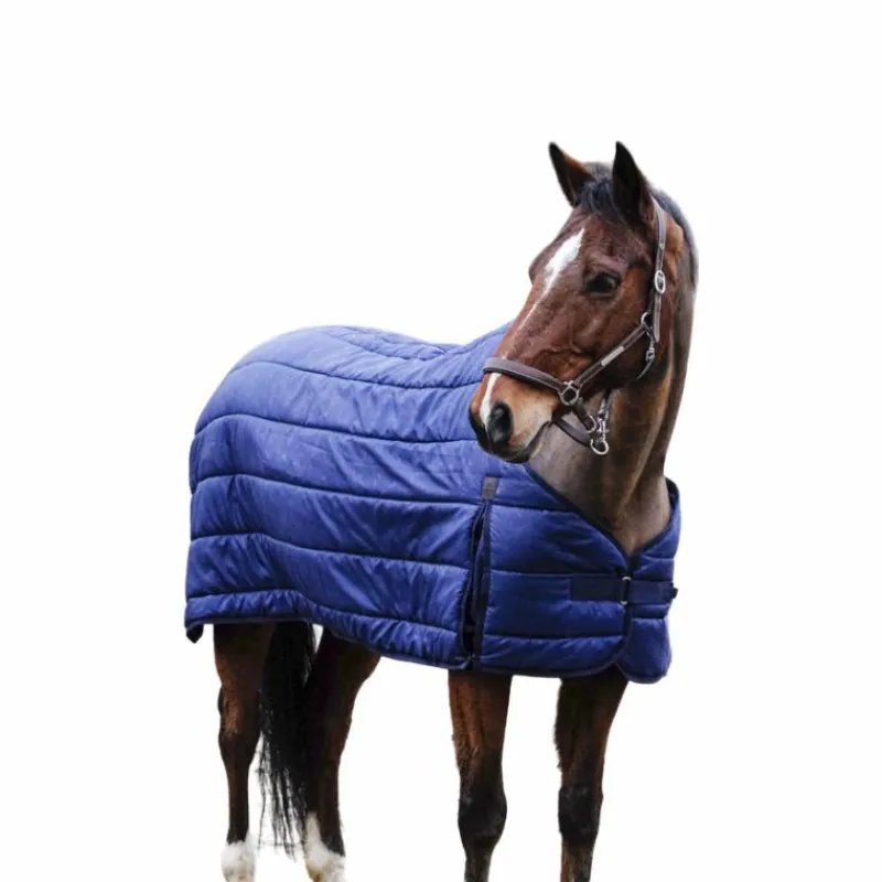 Couvertures Poneys|Couvertures Et Chemises*Equithème - Sous-couverture Classic 100g Marine