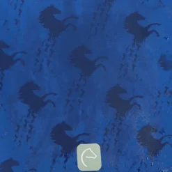 Hot - Veste manche longue Softshell amandine marine Enfant Blousons Et Manteaux