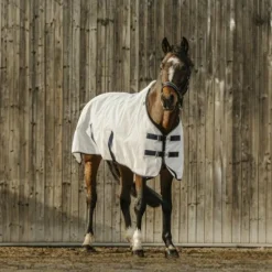 Outlet -Chemise anti-uv 0g Couvertures Poneys|Couvertures Et Chemises