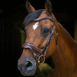 Sale - Bridon Design Cso|Bridons