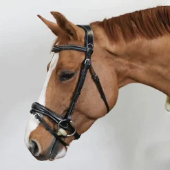 - Bridon Wave Cso|Bridons