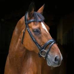 - Bridon Wave Cso|Bridons