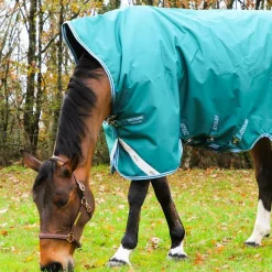 Élevage|Grooming*Eric Thomas - Licol cuir Grooming Havane