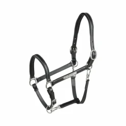 Élevage|Grooming*Eric Thomas - Licol cuir Grooming Noir