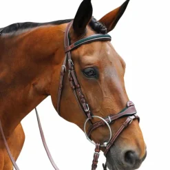 Best - Bridon combiné Paris avec rênes marron/ vert Bridons Poneys|Bridons