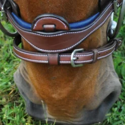 Online - Bridon combiné Paris avec rênes marron/ bleu Bridons Poneys|Bridons