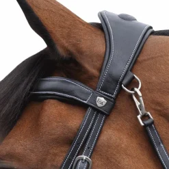 Dressage|Cso*Flags & Cup - Bridon Comfort combiné avec rênes Noir