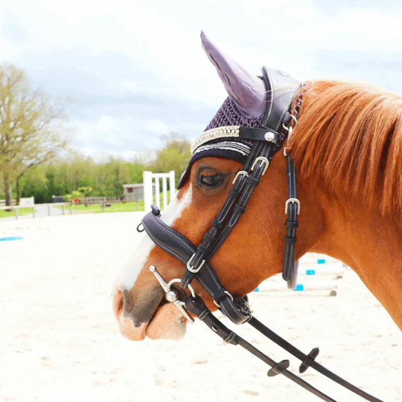 Dressage|Cso*Flags & Cup - Bridon Comfort combiné avec rênes Noir