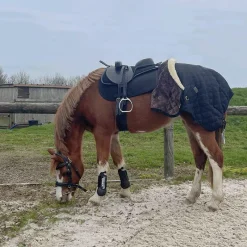 Cso|Dressage*Flags & Cup - Bridon Comfort combiné avec rênes Havane