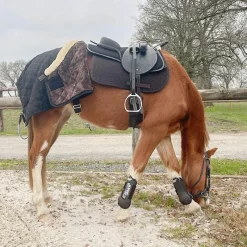 Cso|Dressage*Flags & Cup - Bridon Comfort combiné avec rênes Havane