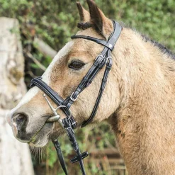 Discount - Bridon Doha avec rênes Bridons Poneys|Bridons