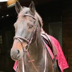 Outlet - Bridon Helsinki avec rênes marron Bridons Poneys|Bridons