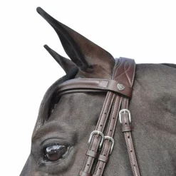 - Bridon Hickstead avec rênes marron Cso|Bridons Poneys