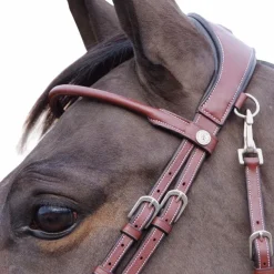 Hot - Bridon Madrid marron Cso|Bridons Poneys