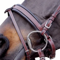 Hot - Bridon Madrid marron Cso|Bridons Poneys