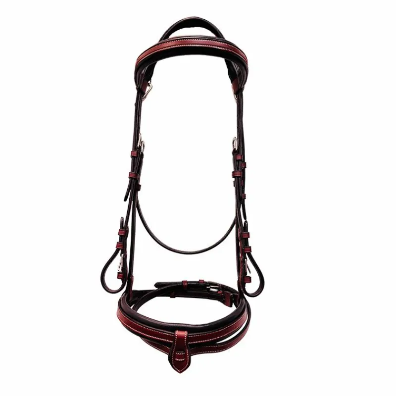 Bridons*Flags & Cup - Bridon muserolle combinée Praha Marron