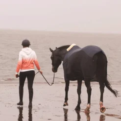 Bridons Poneys|Bridons*Flags & Cup - Bridon Oslo avec rênes marron Havane