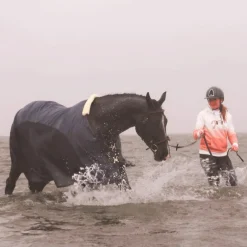 Bridons Poneys|Bridons*Flags & Cup - Bridon Oslo avec rênes marron Havane