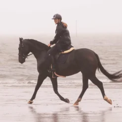 Bridons Poneys|Bridons*Flags & Cup - Bridon Oslo avec rênes marron Havane