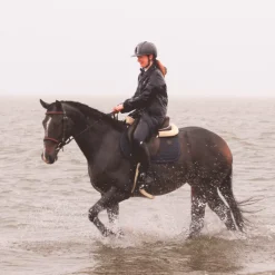 Bridons Poneys|Bridons*Flags & Cup - Bridon Oslo avec rênes marron Havane