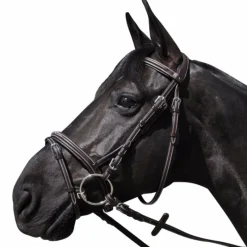 Bridons Poneys|Bridons*Flags & Cup - Bridon Wellington avec rênes marron Havane