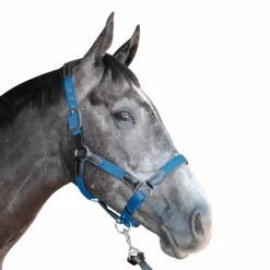 Sale - Licol cheval nylon et cuir noir / électrique Licols En Nylon