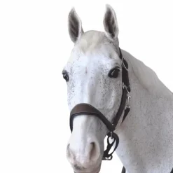 Sale - Licol cheval Cuir Paris /marine Élevage|Licols Poneys