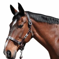 Online - Licol Chukka moka / choco / taupe Licols Poneys|Licols En Cuir