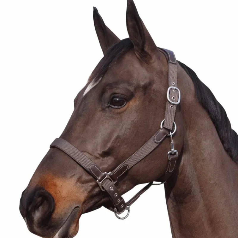 Licols Poneys|Licols En Nylon*Flags & Cup - Licol nylon et cuir Marron