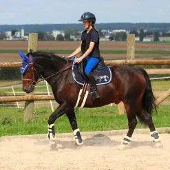 Pantalons D'Équitation*Flags & Cup - Pantalon d'équitation fille Cayenne roi Bleu