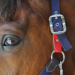 Discount Flags&Cup - Licol de sécurité Licols Poneys|Licols En Nylon