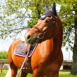 - Stickers Pays France Accessoires D'Étriers