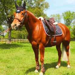 - Stickers Pays France Accessoires D'Étriers