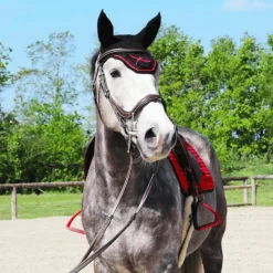 Best - Bonnet pour cheval / Rouge Bonnets Pour Chevaux