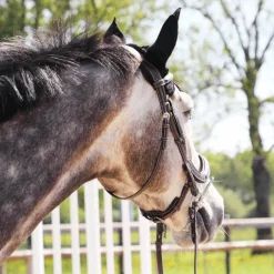 Best - Bonnet pour cheval / Rouge Bonnets Pour Chevaux