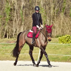 Best - Étriers Soft'Up Pro + Silver Noir / Argent Concours Complet D'Equitation|Étriers De Sécurité