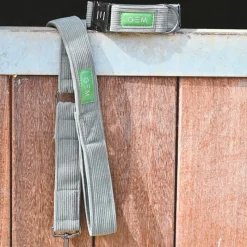 Hot - Collier + laisse pour chien kaki Colliers