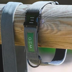 Hot - Collier + laisse pour chien kaki Colliers