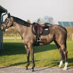 Discount - Tapis de selle Leo Tapis De Selle|Tapis Cso/ Mixtes