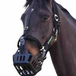 Paniers*Greenguard - Panier Thérapeutique Vert