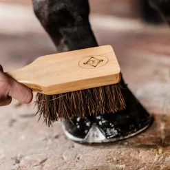 - Brosse à sabots Grooming|Brosses À Sabots