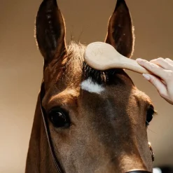 Outlet - Brosse à crins Brosses À Crins