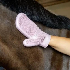 Best - Gant de Grooming en caoutchouc vieux Gants De Pansage