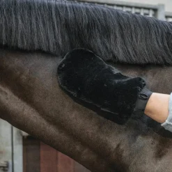 Best - Gant de pansage mouton noir Grooming|Gants De Pansage