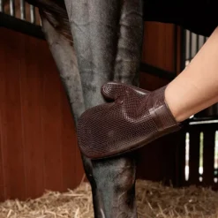 Gants De Pansage*Grooming Deluxe - Gant de Grooming en caoutchouc brun Marron